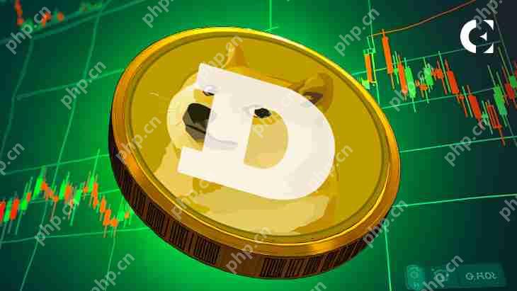 Polymarket对Dogecoin的预测明天即将结束0.24美元，只有13％的人认为这将发生。